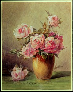 Rosas cor de rosa em um vaso amarelo